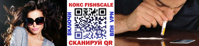 COCAIN Fish Scale  Купить закладки  Торопец 