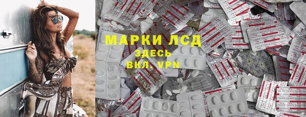 мяу мяу мука Аркадак