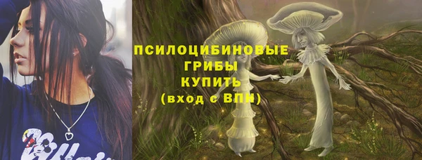 мяу мяу мука Аркадак