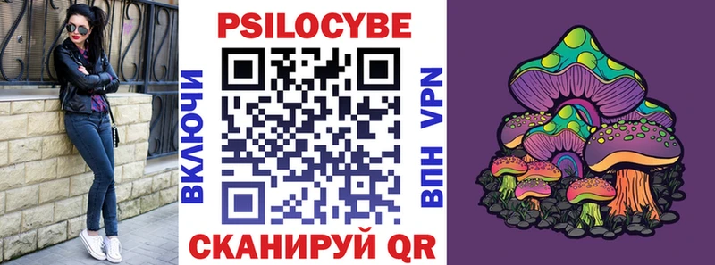 Купить  Торопец  Галлюциногенные грибы ЛСД 